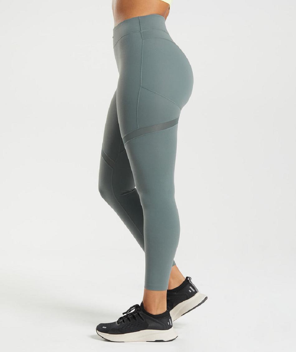 Leggins Gymshark Whitney Mesh Mujer Gris | CO 2907AHK